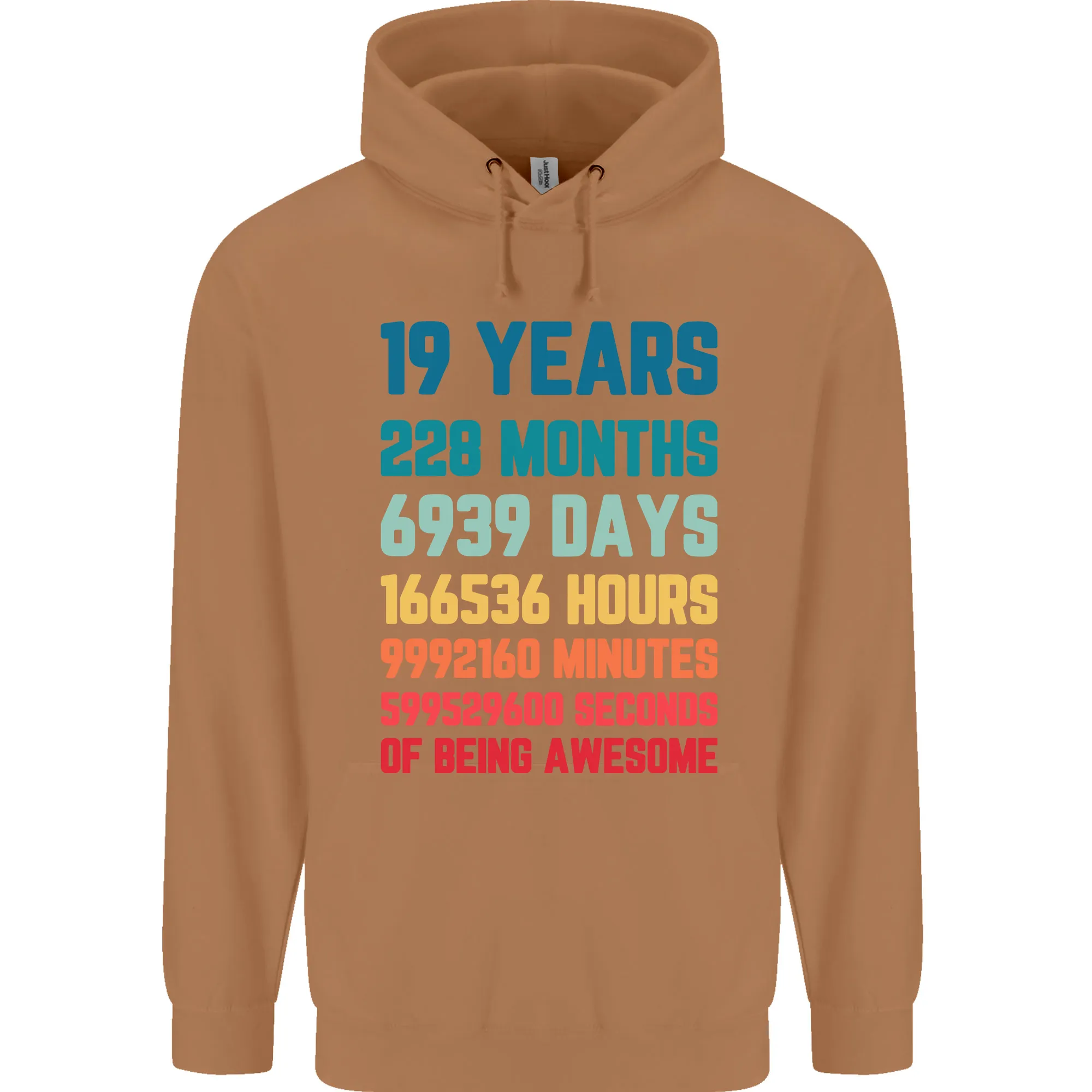 19th Birthday 19 Year Old Mens 80% Cotton Hoodie