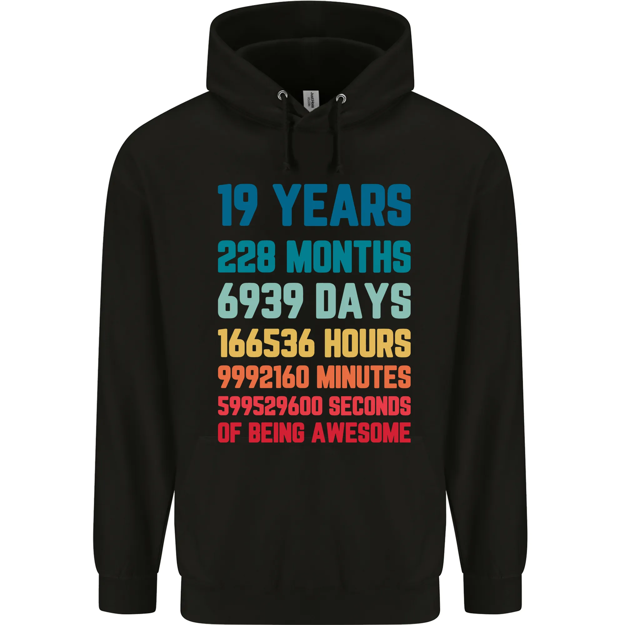 19th Birthday 19 Year Old Mens 80% Cotton Hoodie