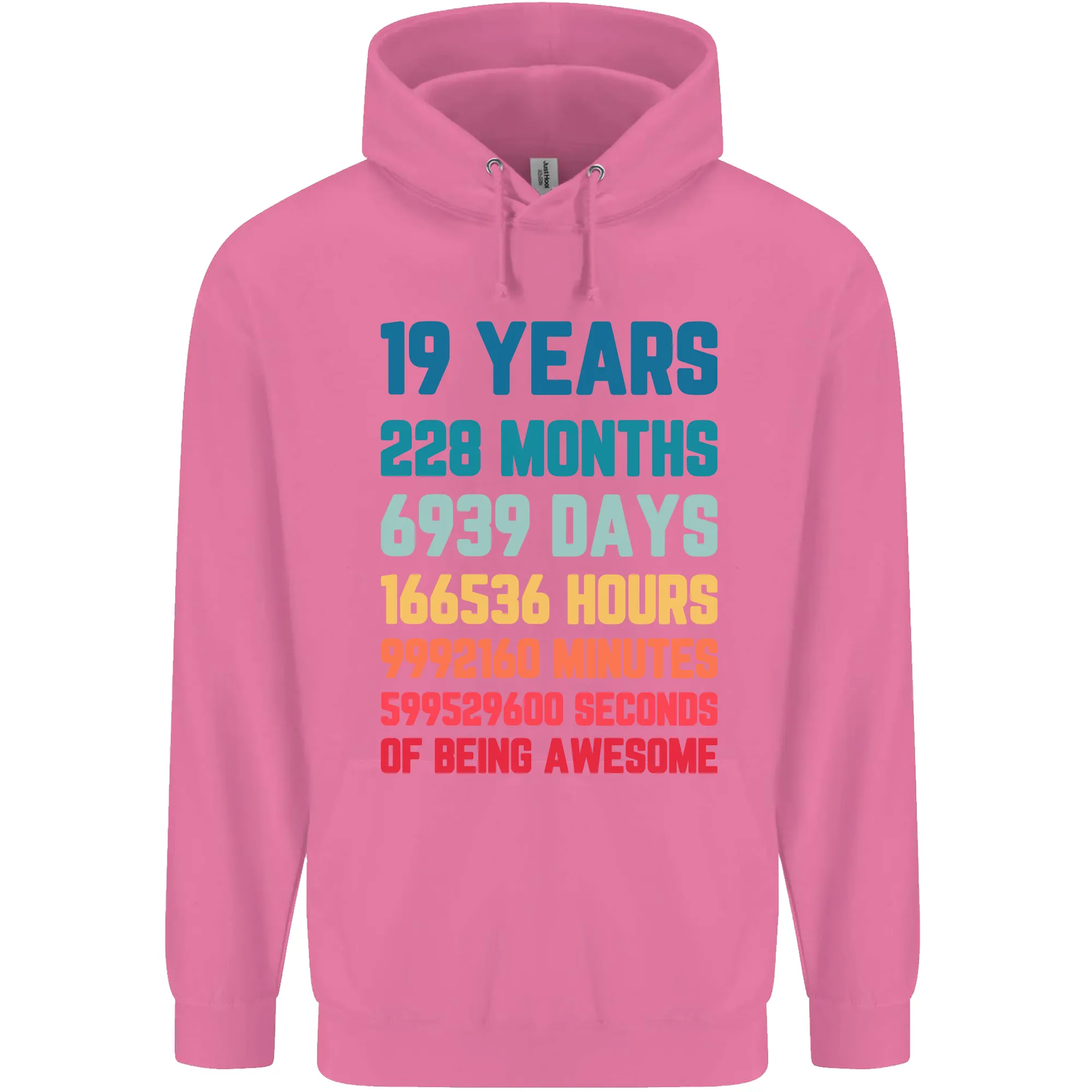 19th Birthday 19 Year Old Mens 80% Cotton Hoodie