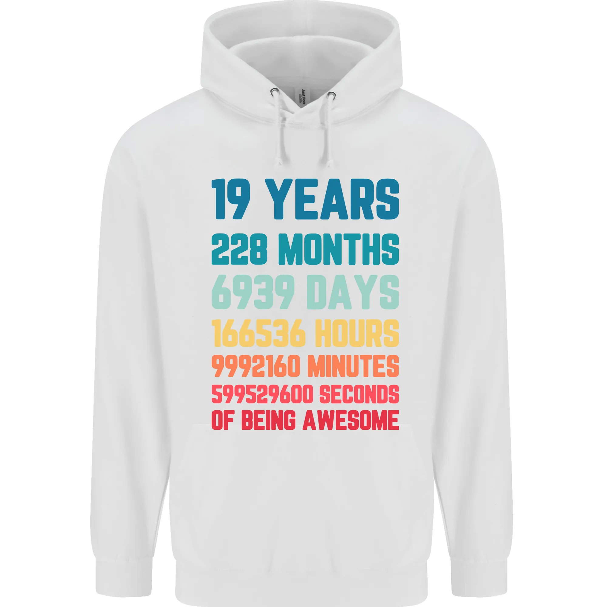 19th Birthday 19 Year Old Mens 80% Cotton Hoodie