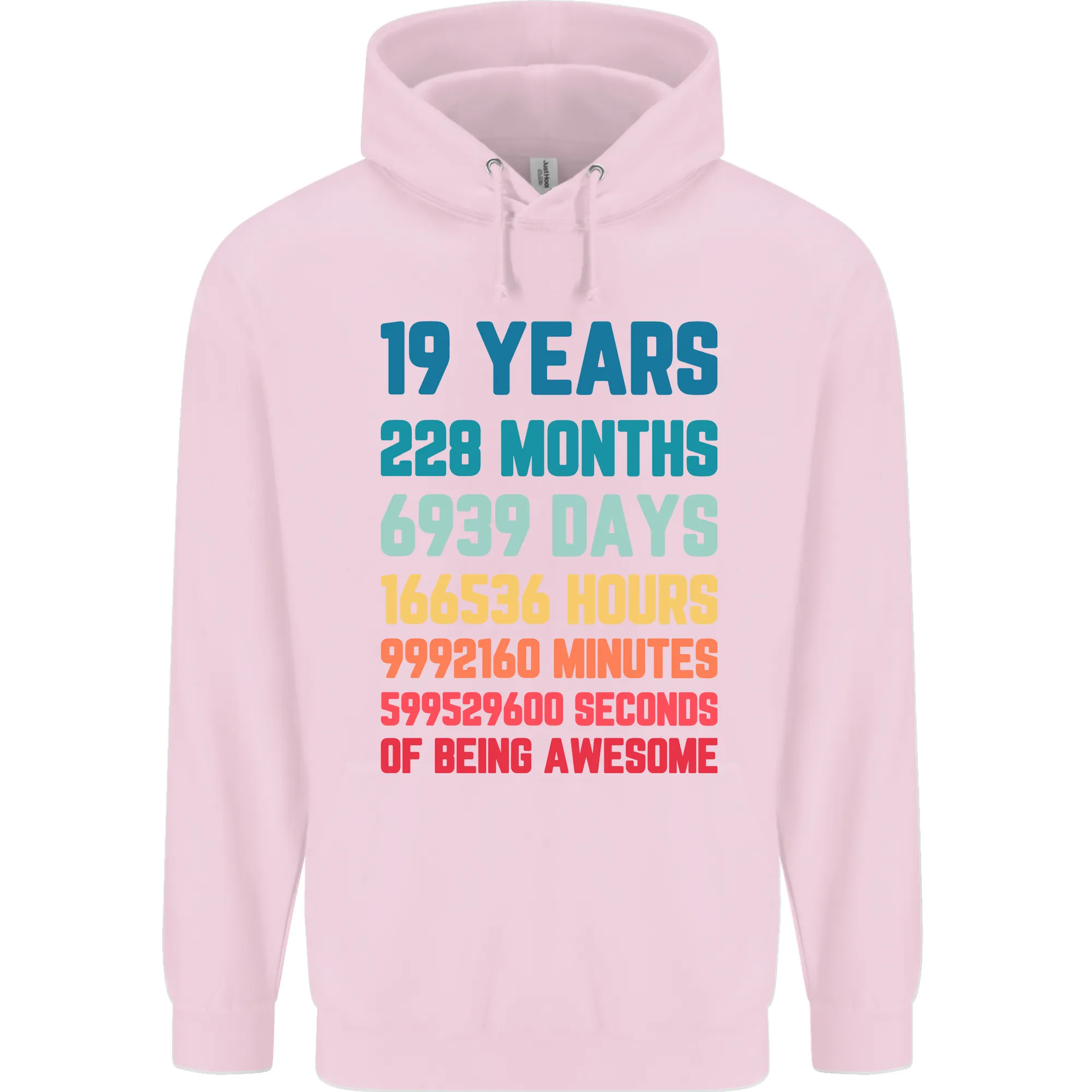 19th Birthday 19 Year Old Mens 80% Cotton Hoodie