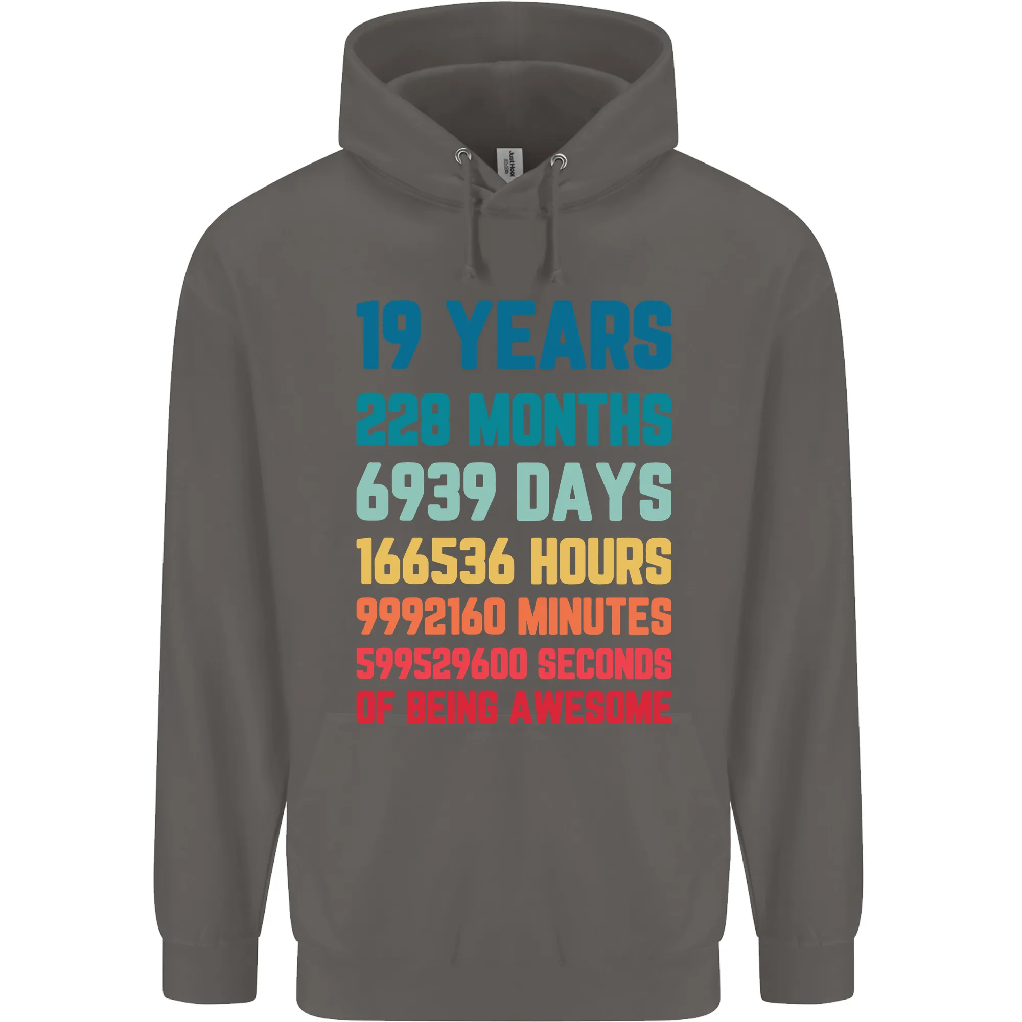 19th Birthday 19 Year Old Mens 80% Cotton Hoodie