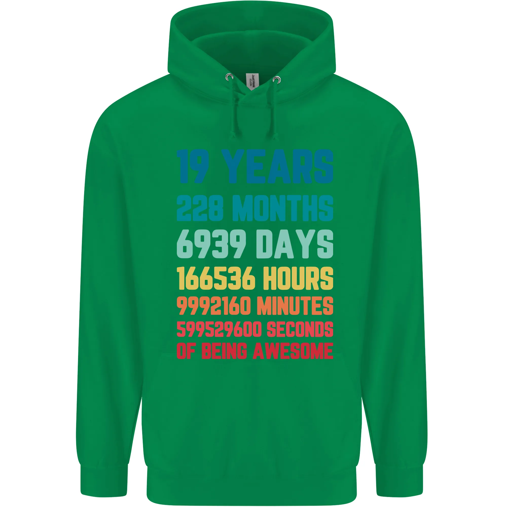 19th Birthday 19 Year Old Mens 80% Cotton Hoodie