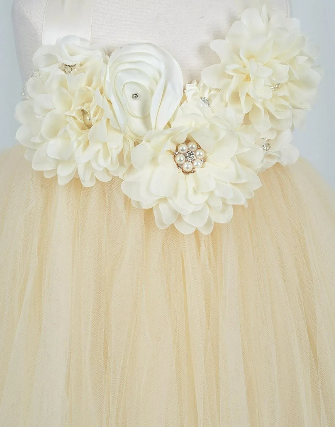 Fantastic Floriated Tulle Dress with Pearl Accents - Champagne