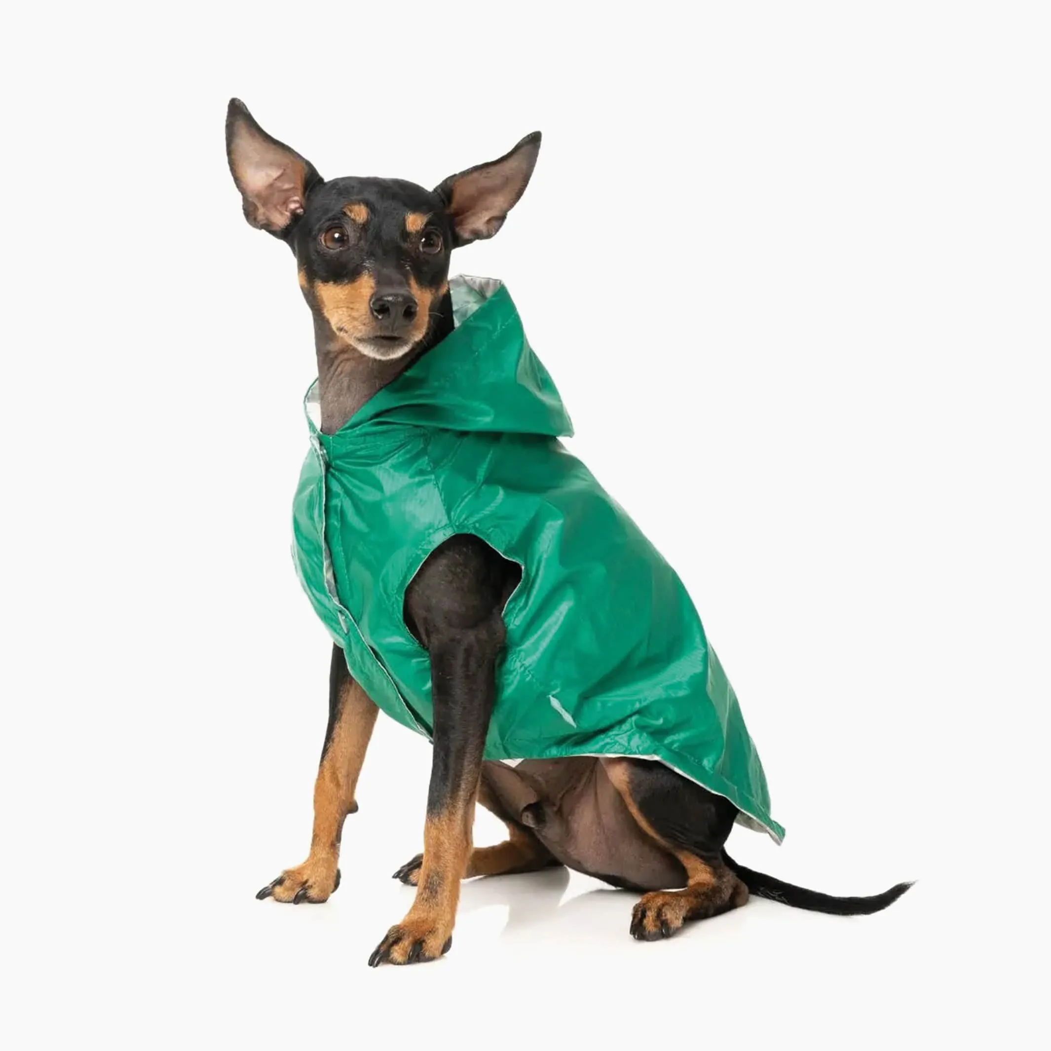 Flipside Rainproof Dog Coat | Reversible, Stylish, and 100% Waterproof