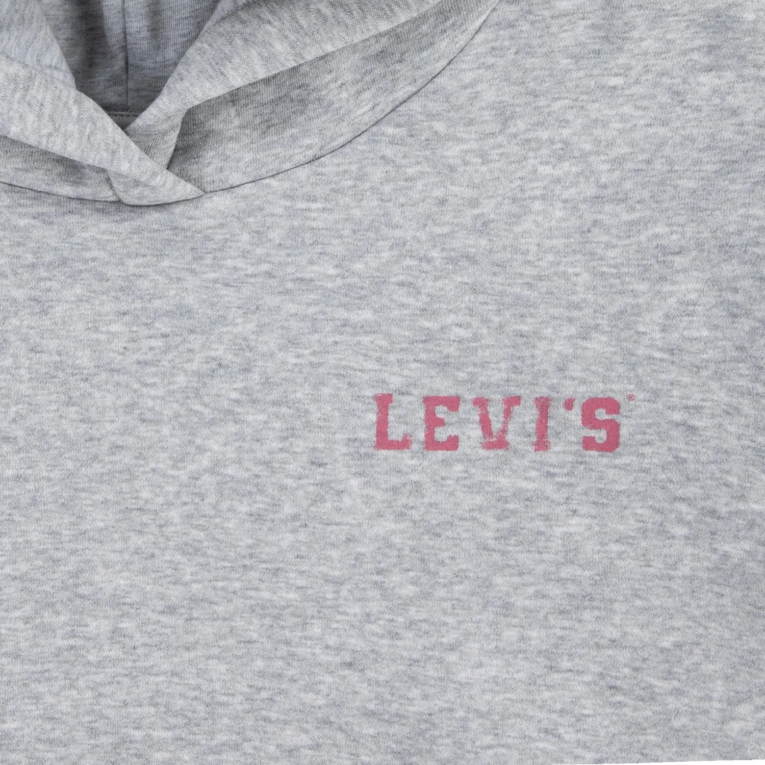 Levi's GREY Collegiate Pullover Hoodie