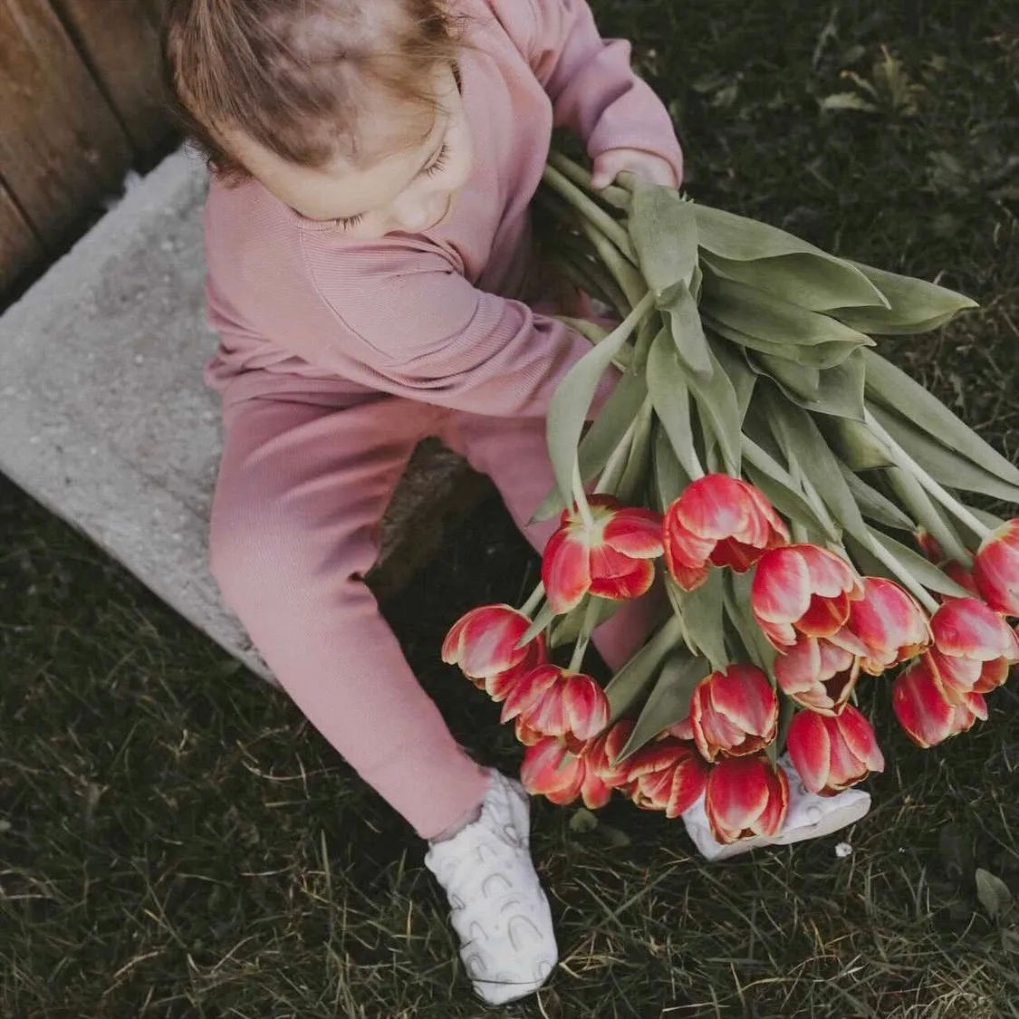 Organic Rib Leggings - Dusty Rose