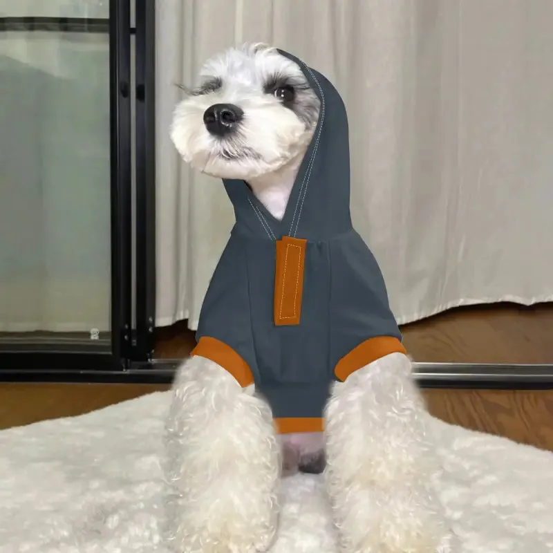 Stylish Gray and Orange Dog Hoodie for a Personalized Touch