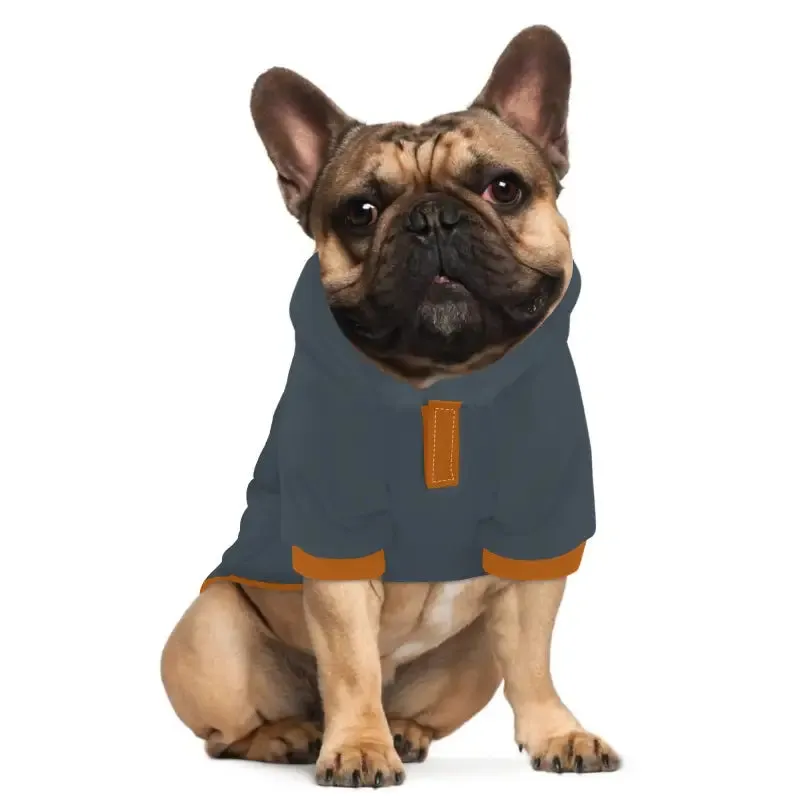 Stylish Gray and Orange Dog Hoodie for a Personalized Touch